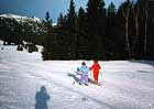 ski de fond sur le plateau de l'arselle, d�cembre 1998