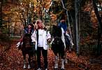 Poney � St Nizier
